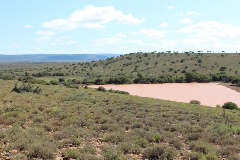 4 Bedroom Property for Sale in Grahamstown Eastern Cape